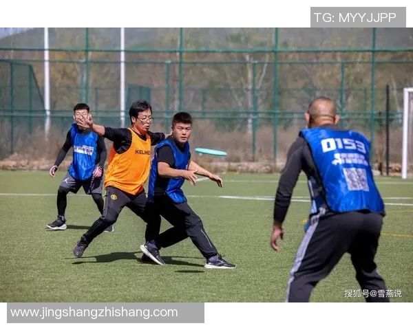 飞盘竞技场上的拼搏与梦想杭州飞盘队的奋斗历程全景回顾