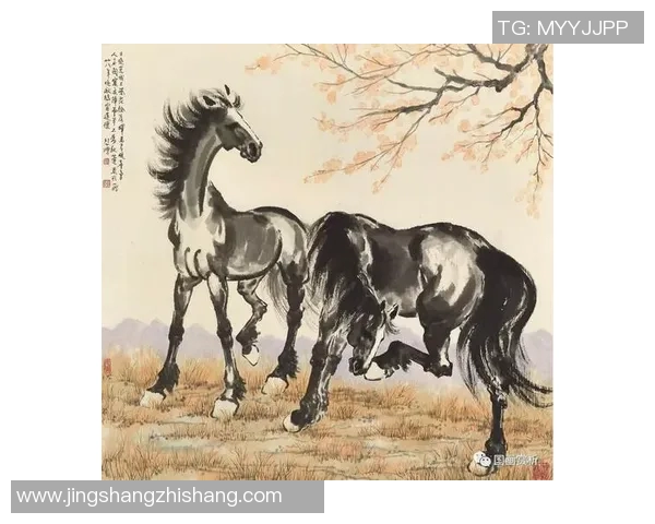 马素与有但的对决探讨两者在现代社会中的影响与价值